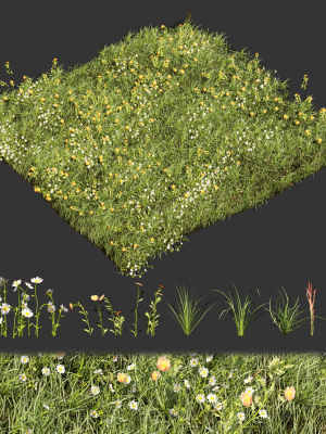 Collection plant vol 374 - grass - leaf - flower