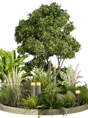Collection plant vol 418 - leaf - outdoor - garden