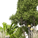 Collection plant vol 418 - leaf - outdoor - garden