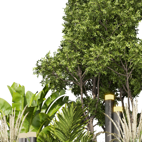 Collection plant vol 418 - leaf - outdoor - garden