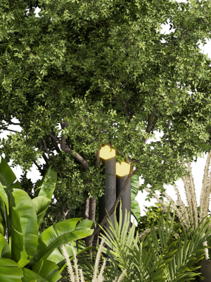 collection-plant-vol-418-leaf-outdoor-garden-3d-model-5c956da1c2