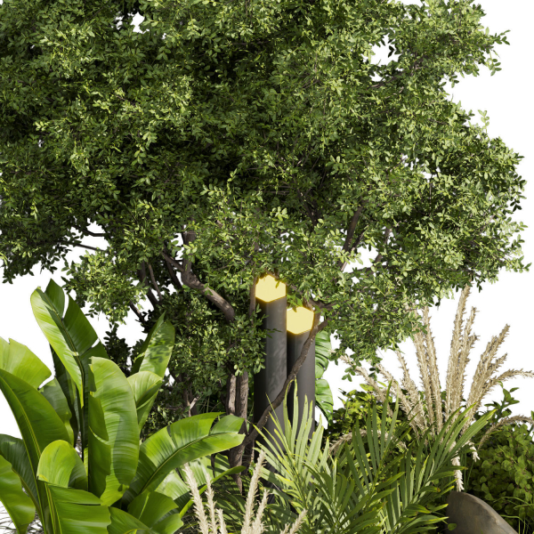 Collection plant vol 418 - leaf - outdoor - garden