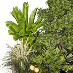 Collection plant vol 418 - leaf - outdoor - garden