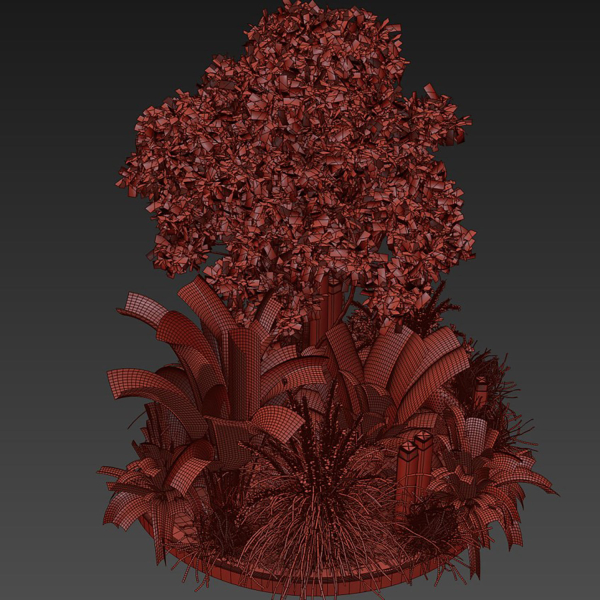 Collection plant vol 418 - leaf - outdoor - garden