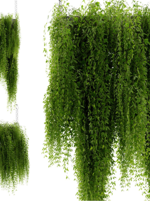 Collection plant vol 461 - blender model