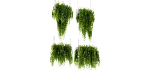 Collection plant vol 461 - blender model