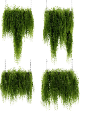 collection-plant-vol-461-blender-model-3d-model-aa5c0be46f