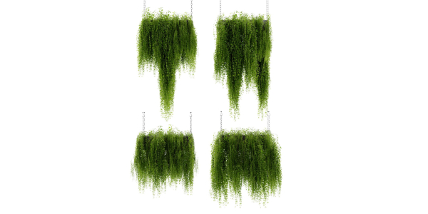 Collection plant vol 461 - blender model