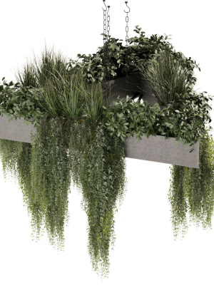 collection-plant-vol-477-hanging-ampelous-bush-3d-model-1047f90351
