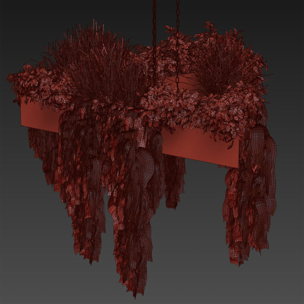 Collection plant vol 477 - hanging - ampelous - bush