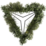 Collection plant vol 477 - hanging - ampelous - bush