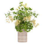 Collection plant vol 49