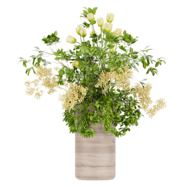 Collection plant vol 49
