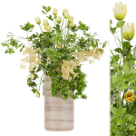 Collection plant vol 49