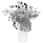 Collection plant vol 49