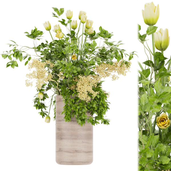 Collection plant vol 49