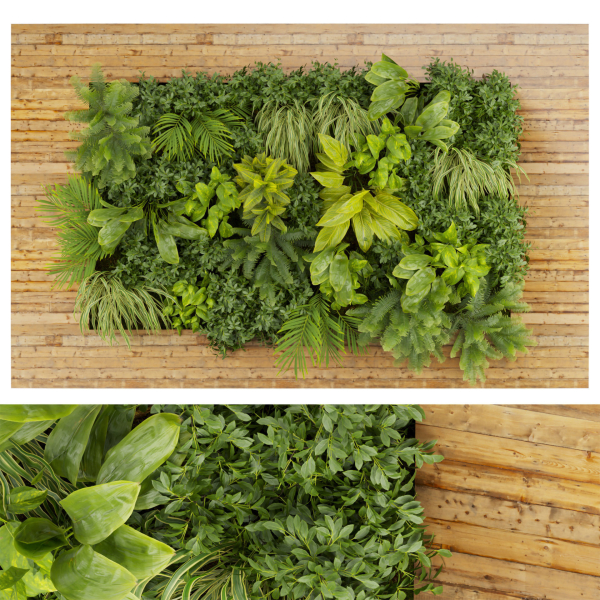 Collection plant vol 503 - garden - leaf - fern - wood