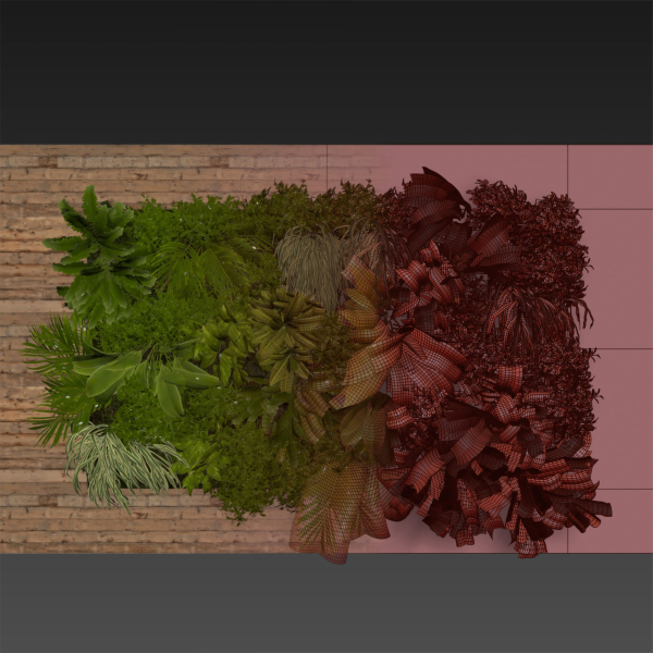 Collection plant vol 503 - garden - leaf - fern - wood