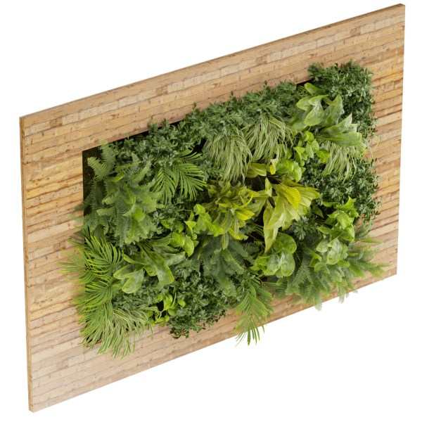 Collection plant vol 503 - garden - leaf - fern - wood