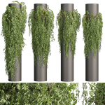 Collection plant vol 526 - bush - outdoor - column - fitowall