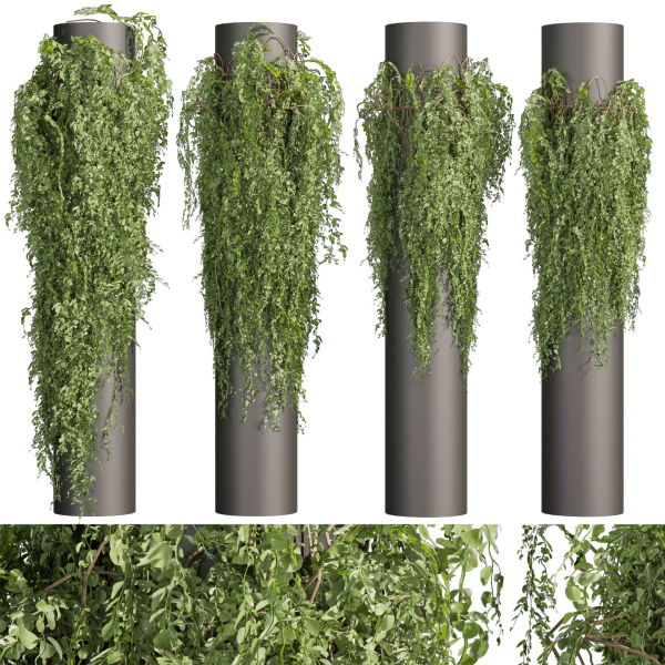 Collection plant vol 526 - bush - outdoor - column - fitowall