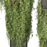 Collection plant vol 526 - bush - outdoor - column - fitowall
