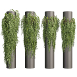 Collection plant vol 526 - bush - outdoor - column - fitowall