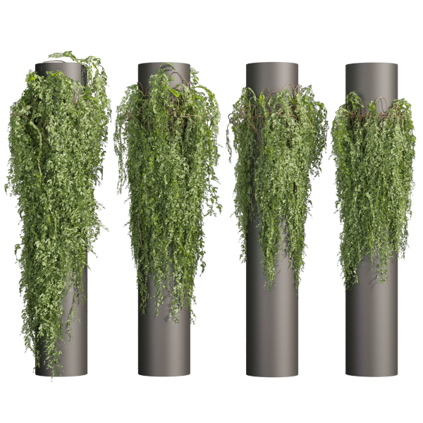 Collection plant vol 526 - bush - outdoor - column - fitowall