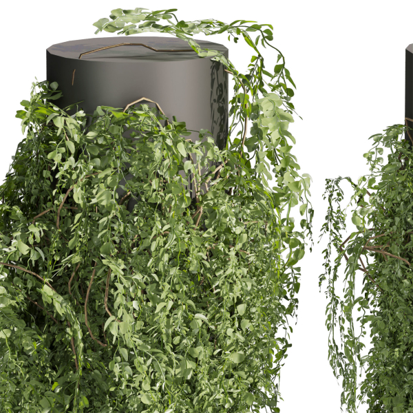 Collection plant vol 526 - bush - outdoor - column - fitowall