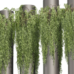 Collection plant vol 526 - bush - outdoor - column - fitowall