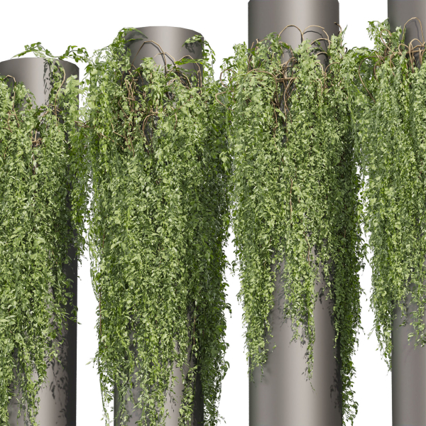 Collection plant vol 526 - bush - outdoor - column - fitowall