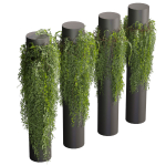 Collection plant vol 526 - bush - outdoor - column - fitowall