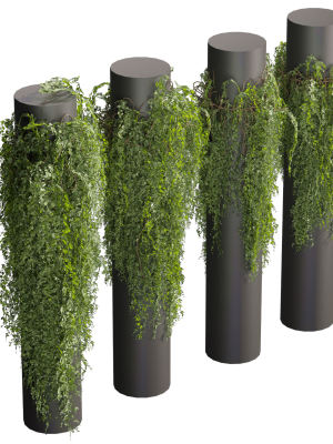 collection-plant-vol-526-bush-outdoor-column-fitowall-3d-model-e94f5a9db0
