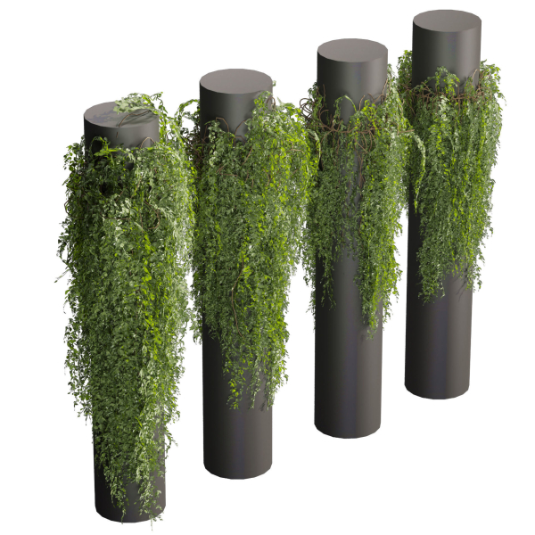 Collection plant vol 526 - bush - outdoor - column - fitowall