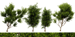 Collection plant vol 536 - blender model