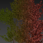 Collection plant vol 536 - tree - outdoor - Urban environment