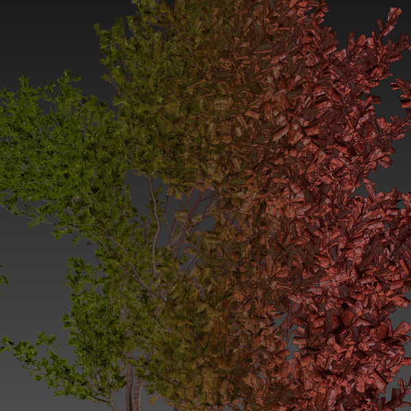 Collection plant vol 536 - tree - outdoor - Urban environment