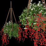 Collection plant vol 82