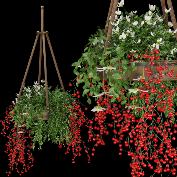 Collection plant vol 82