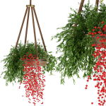 Collection plant vol 82