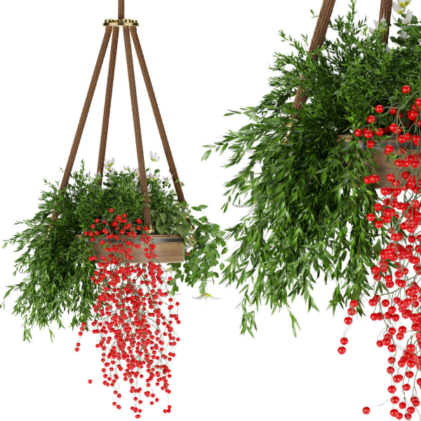 Collection plant vol 82