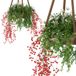 Collection plant vol 82