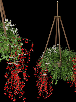 Collection plant vol 82