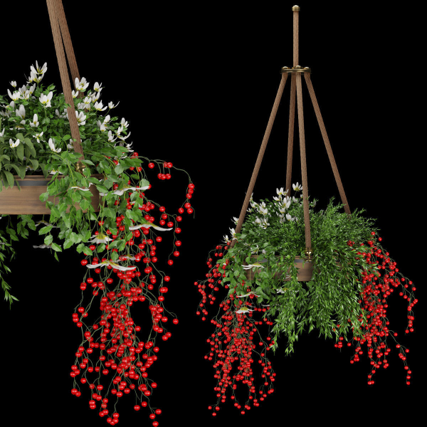 Collection plant vol 82