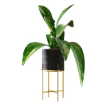 Collection plants 3D model tropical plant in pot