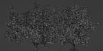 collection trees vol 13-Blender