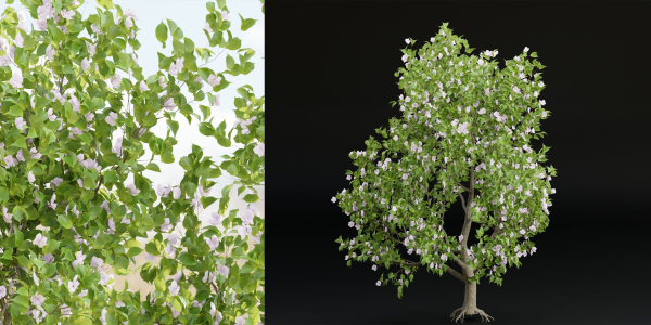 collection trees vol 13-Blender