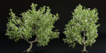 collection trees vol 13-Blender