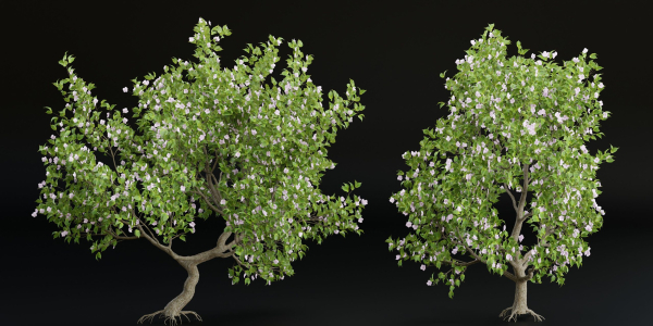 collection trees vol 13-Blender