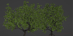 collection trees vol 13-Blender